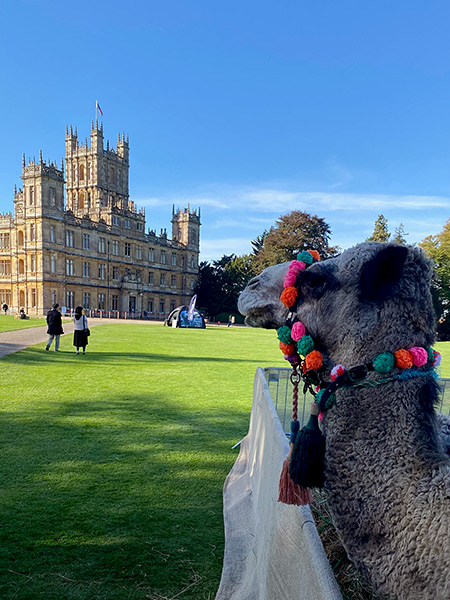 From the Real Downton Abbey to the Tomb of Tutankhamun – Lady Carnarvon